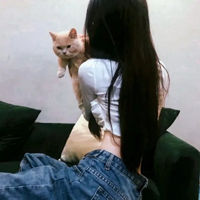 吴夫人的外出