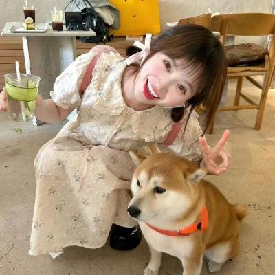 侠友